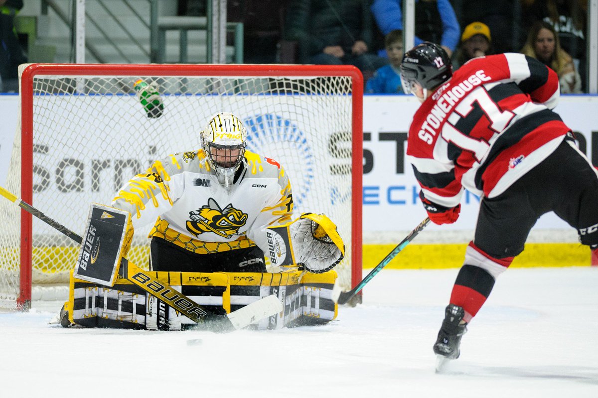 Metcalfe Photography tweet media