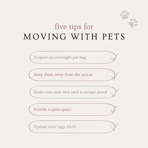 laceysellsRE's tweet image. If you are moving with a pet, make sure to follow these simple guidelines.

#pets #laceyscarlettrealestate #movingwithpets #casperwyoming