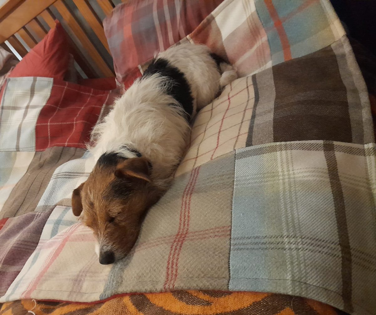 Hellllooooo <a href="/HandmadeHour/">HandmadeHour</a> <a href="/HMNation/">Handmade Nation</a> #HandmadeHour 
Hpe u are all wll &amp; have hd a gd wknd 
I've bn a busy b in the studio
Mking dog blankets.
Here's our baby girl, happy on hers after a nice Sunday walk on the beach x
#handmadebynoo #happydogs #coastallife #howlifeshouldbe #love