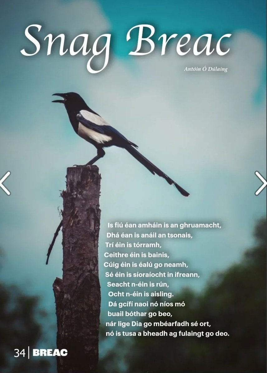 <a href="/NiLuasa/">Jane Ní Luasa</a> Seans go mbainfeá súp as leagan <a href="/antoinodullaing/">Antóin Ó Dúllaing</a> a bhí againn in Iris Breac na bliana seo caite!