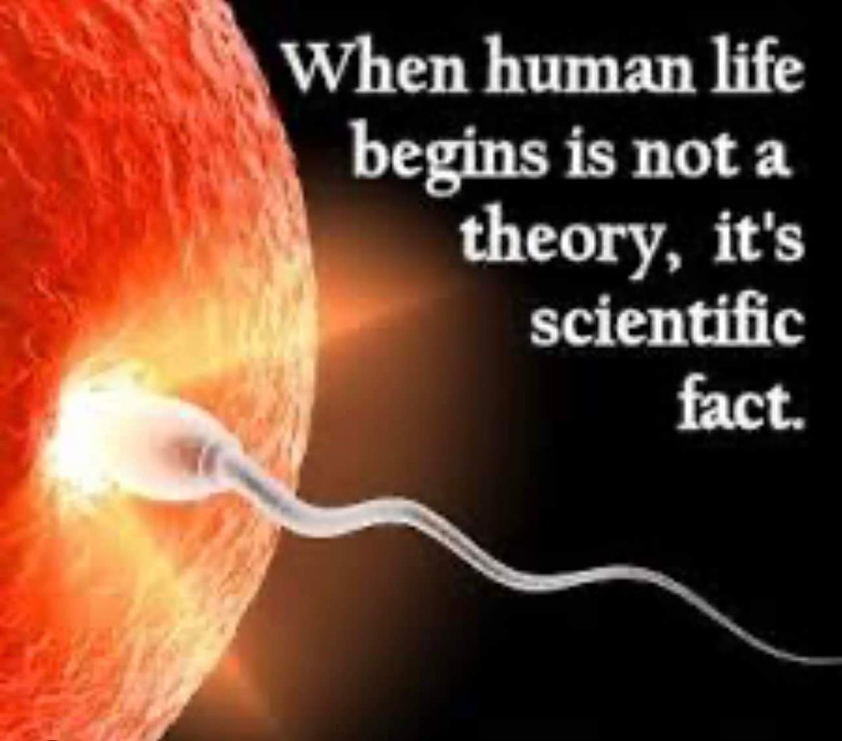 Senator Amanda Chase on Twitter "Today I present the Life Begins at