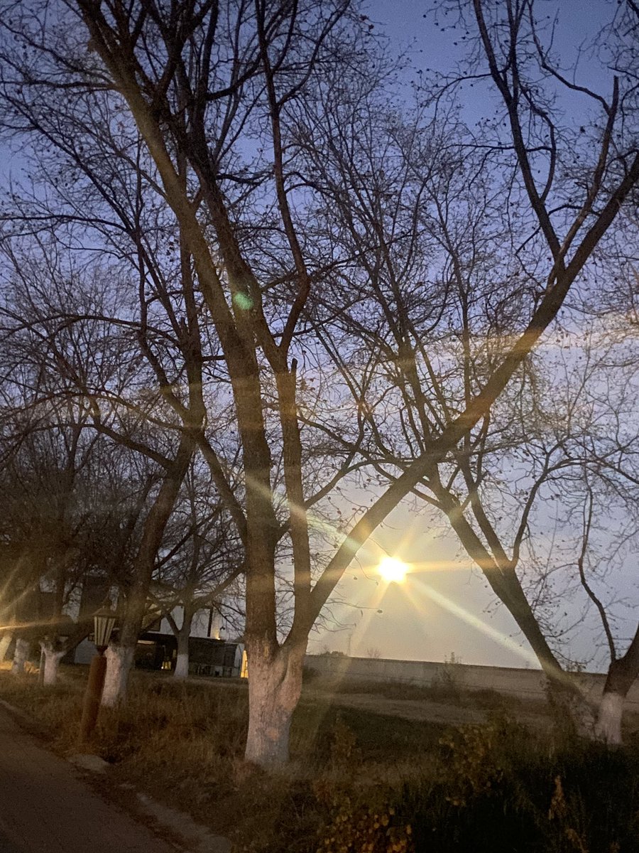 Ya vieron la luna 🌑?