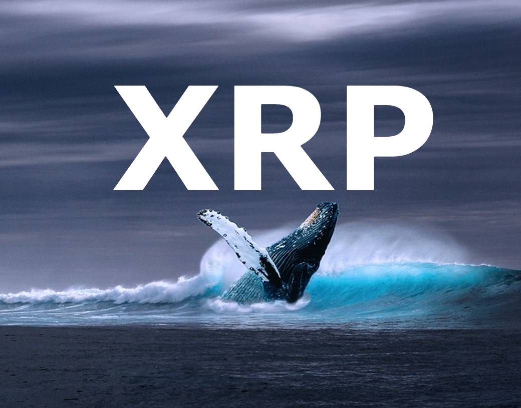 RippleXrpie's tweet image. $10,000 in #XRP if we reach 140k followers in 24hrs! 

♻️Retweet 
♡ Like
🫂Follow

Comment: Your wallet address.