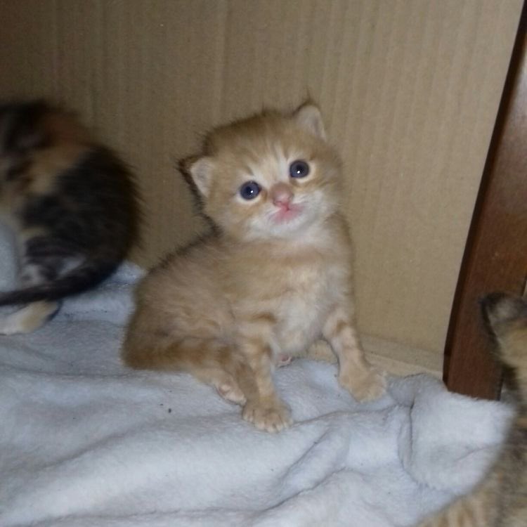 sory i not posted in. long tym. forgorted i esist,,,