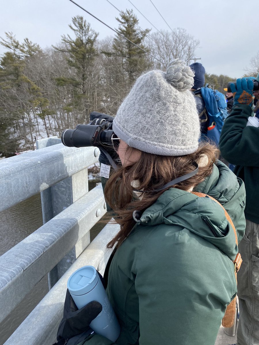 missjennahoward's tweet image. The bird is back! #StellersSeaEagle