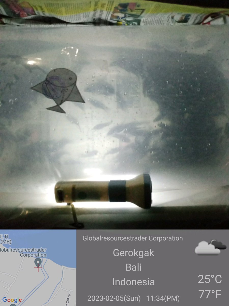 MarineCulture's tweet image. 05 FEB 2023
#ICSGRTC

i. Personil QC melakukan pengecekan pengemasan M.P 🐟