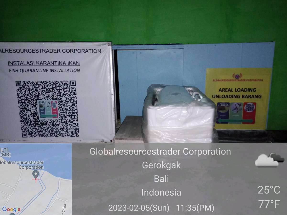 MarineCulture's tweet image. 05 FEB 2023
#ICSGRTC

i. Personil QC melakukan pengecekan pengemasan M.P 🐟