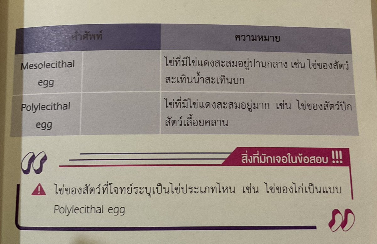 fallingluvpo's tweet photo. ขออวยยศหนังสือเล่มนี้ ชั้นอ่านไปอยู่นะแกกก แต่ชั้นลืมเองง่ะ 🫠
 #netsat https://t.co/GXxUSynu7x