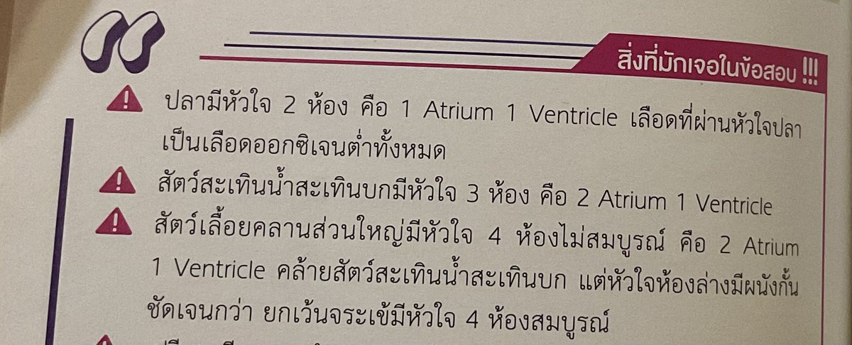 fallingluvpo's tweet photo. ขออวยยศหนังสือเล่มนี้ ชั้นอ่านไปอยู่นะแกกก แต่ชั้นลืมเองง่ะ 🫠
 #netsat https://t.co/GXxUSynu7x