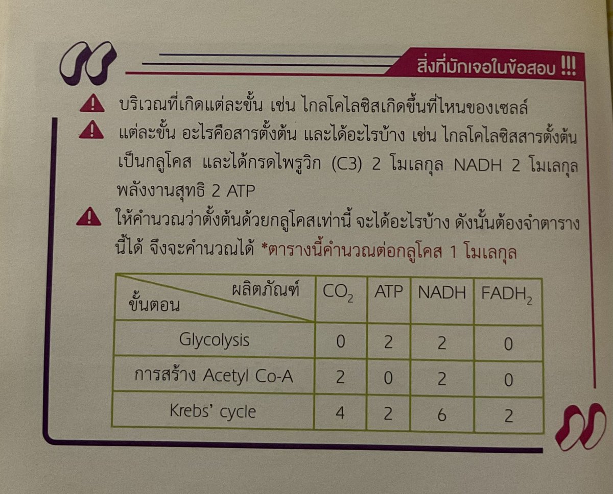 fallingluvpo's tweet photo. ขออวยยศหนังสือเล่มนี้ ชั้นอ่านไปอยู่นะแกกก แต่ชั้นลืมเองง่ะ 🫠
 #netsat https://t.co/GXxUSynu7x