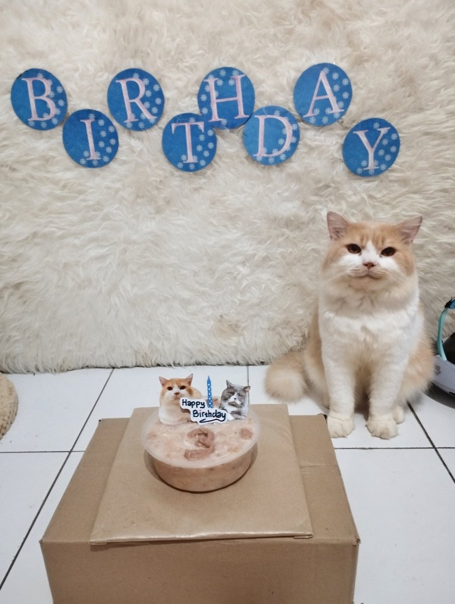 kochengfs's tweet image. 🐈‍⬛ Happy bday to me 🎉