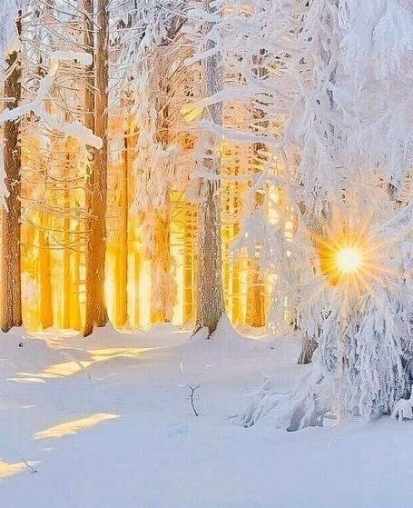 coco_p2a's tweet image. Good morning !