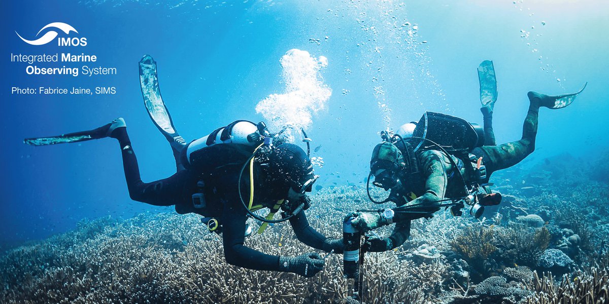 🚨<a href="/IMOSAnimalTrack/">IMOS Animal Tracking</a> is hiring a Technical Officer🚨to assist w/ the preparation, deployment and maintenance of acoustic receivers to monitor movements of tagged animals &amp; continue to develop operational best practices. Deadline to apply: 20th February 2023 seek.com.au/job/60073431