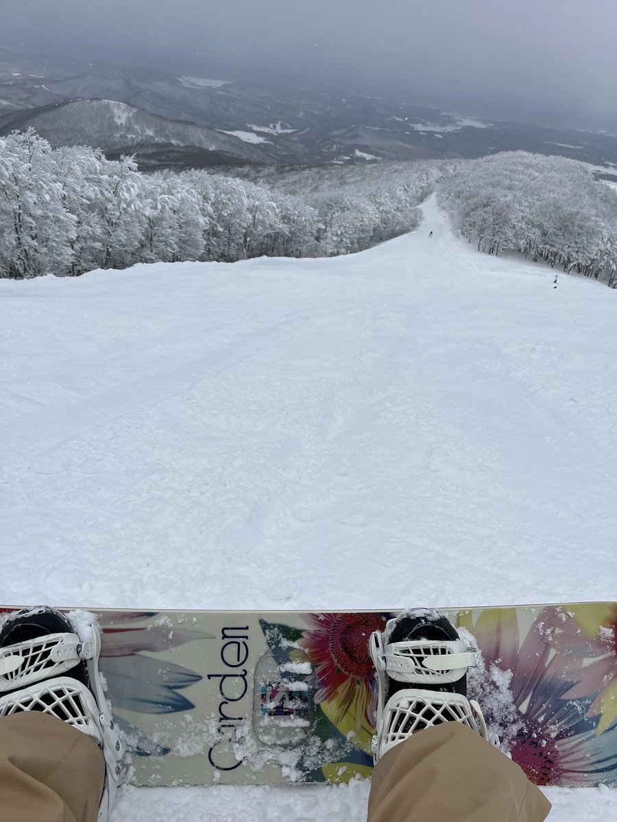 ヤハ🏂