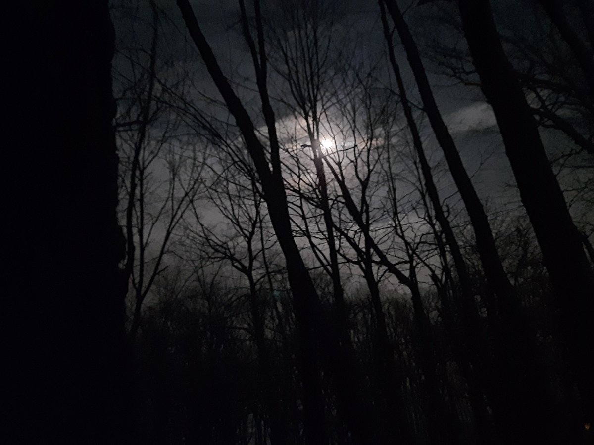 aurumlarp's tweet photo. What lurks in the dark woods surrounding Expedition Point? An enemy we thought had been vanquished? A new threat? Join us at our February event and find out!

https://t.co/szUJdS0wqW

#LARP #steampunk #aurumlarp https://t.co/Y5gyVUFrFk