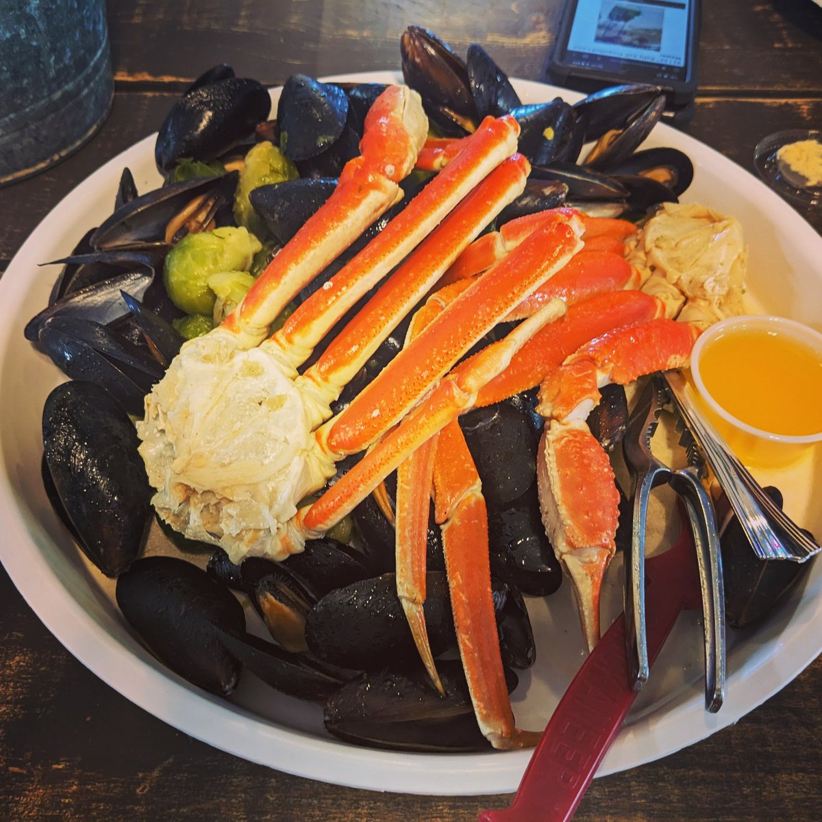 AshesTerrible's tweet image. This week has been exceptionally difficult so Bry took me out for crab, bought me a feeder for the backyard and I started marinating some venison jerky for tomorrow. I needed this so badly my partner is just the absolute best 🦀♥️
#noms #crab