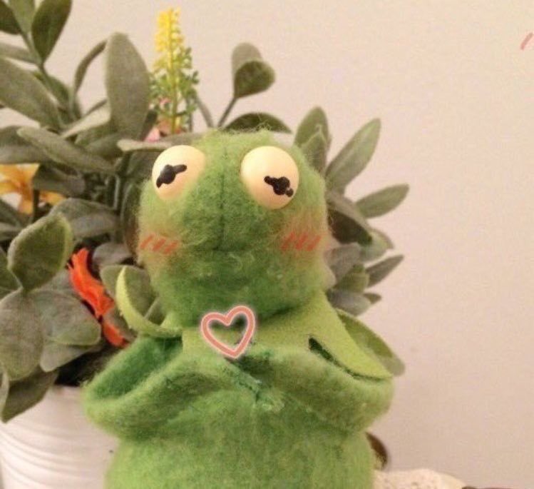 ฝากตัวนะครับร็อคลีคุง จะเริ่มอวยยศลีคุงสิบบทนับจากนี้ 🔥😼