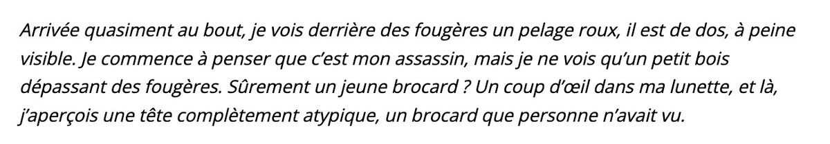 Nain Portekoi 🇨🇵 tweet media