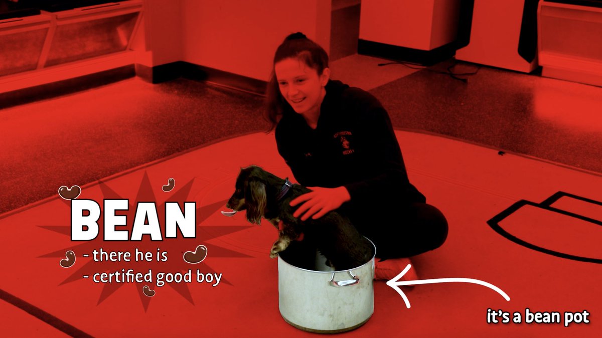 Huskies Productions (@gonuproductions) on Twitter photo Stellar work by our team to put out some awesome content in preparation for the Men’s and Women’s Beanpots! Check the full videos out ⬇️ <a href="/GoNUmhockey/">Northeastern Men’s Hockey</a> <a href="/GoNUwhockey/">Northeastern Women’s Hockey</a> Stellar work by our team to put out some awesome content in preparation for the Men’s and Women’s Beanpots! Check the full videos out ⬇️ <a href="/GoNUmhockey/">Northeastern Men’s Hockey</a> <a href="/GoNUwhockey/">Northeastern Women’s Hockey</a>