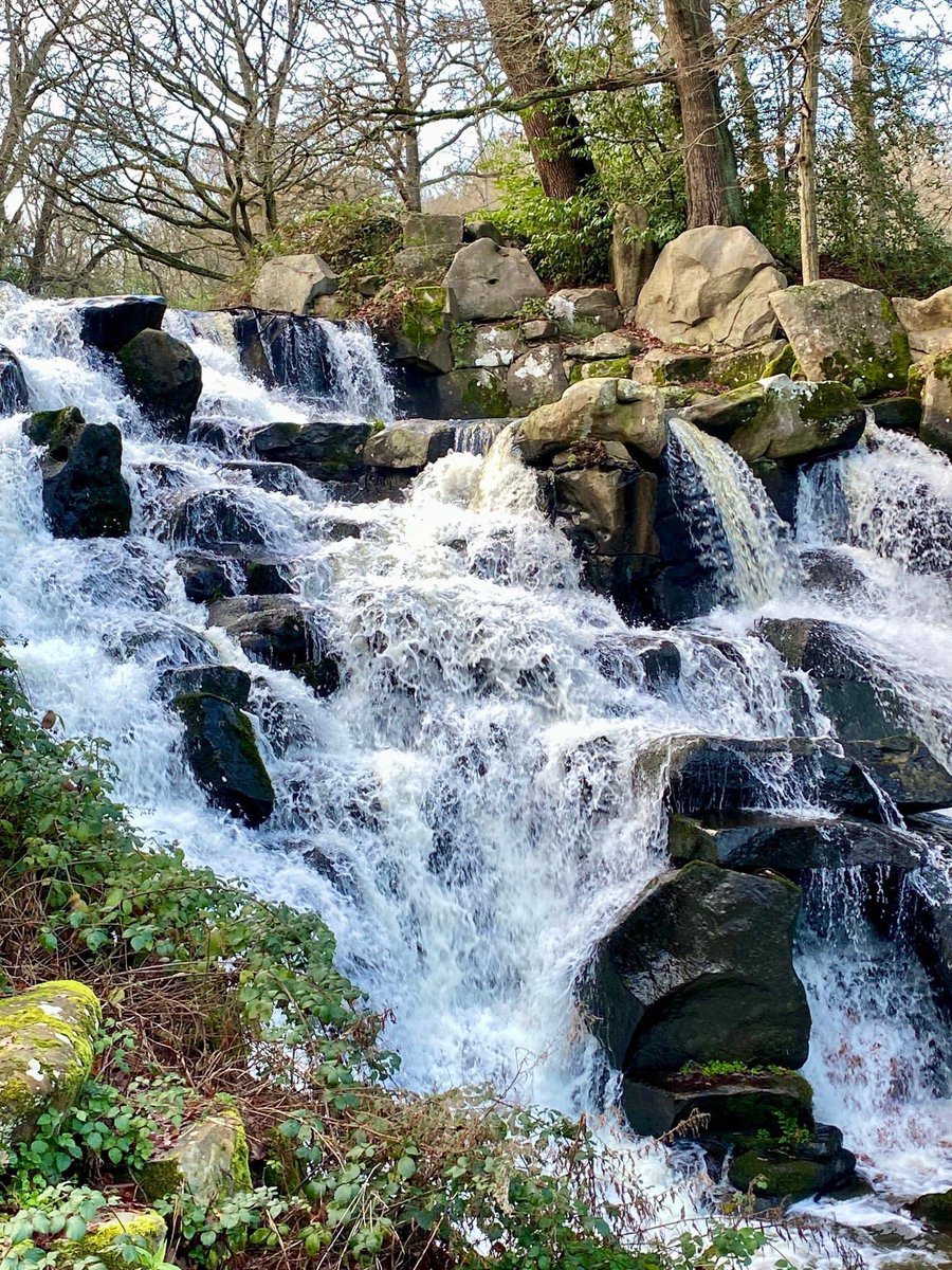 TaraWardBooks's tweet photo. Thank you for your #SundayQuiz guesses. I thought it looked like #CakeIcing but it is in fact this stunning #Waterfall in #VirginiaWater. Well done for the correct answers! ... https://t.co/aVWJpFarj8