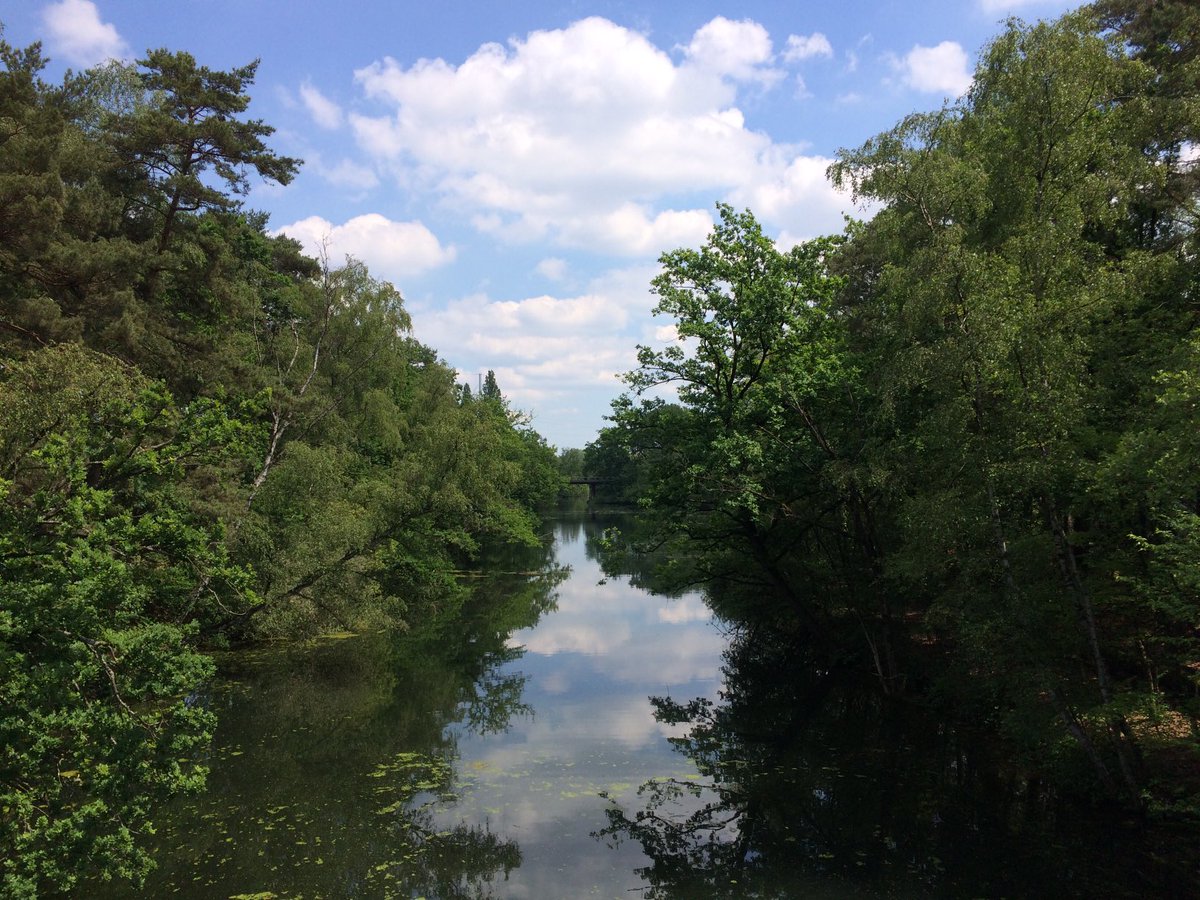 FrankDillen's tweet photo. Een linkse en rechtse ‘brugblik’ op de Congo-vaart in zomer en herfst met 5 jaren tussen door twee verschillende lensogen. 😉@AlexisDestoop #Tabloo #jeugdwater https://t.co/oPtvF5bGK1