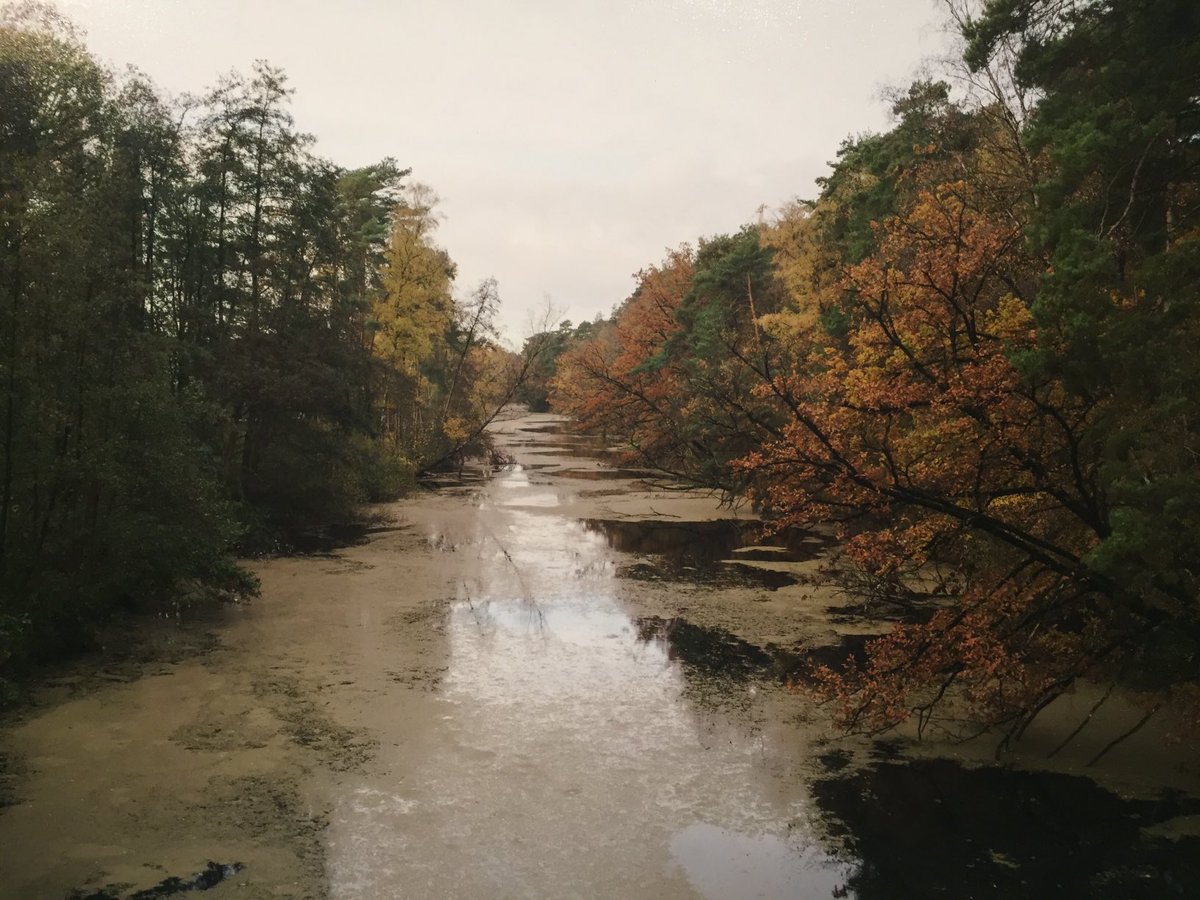 FrankDillen's tweet photo. Een linkse en rechtse ‘brugblik’ op de Congo-vaart in zomer en herfst met 5 jaren tussen door twee verschillende lensogen. 😉@AlexisDestoop #Tabloo #jeugdwater https://t.co/oPtvF5bGK1
