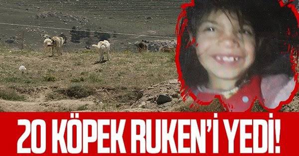cnnkls84's tweet photo. @HAYKOCPQN Senin inandığım Allaha havale ediyorum @HAYKOCPQN 😡!!! Bu çocuklar bizim gözümüzde büyüttüğümüz kendi kendine büyüyemeyen ancak insan parçalayabilen başıboş sokak köpeklerince parçalanarak öldü!!!! Sen şimdi hayvana merhamet ederken insana vicdansızlık yapmıyor musun! https://t.co/uC2BQ4hCVi