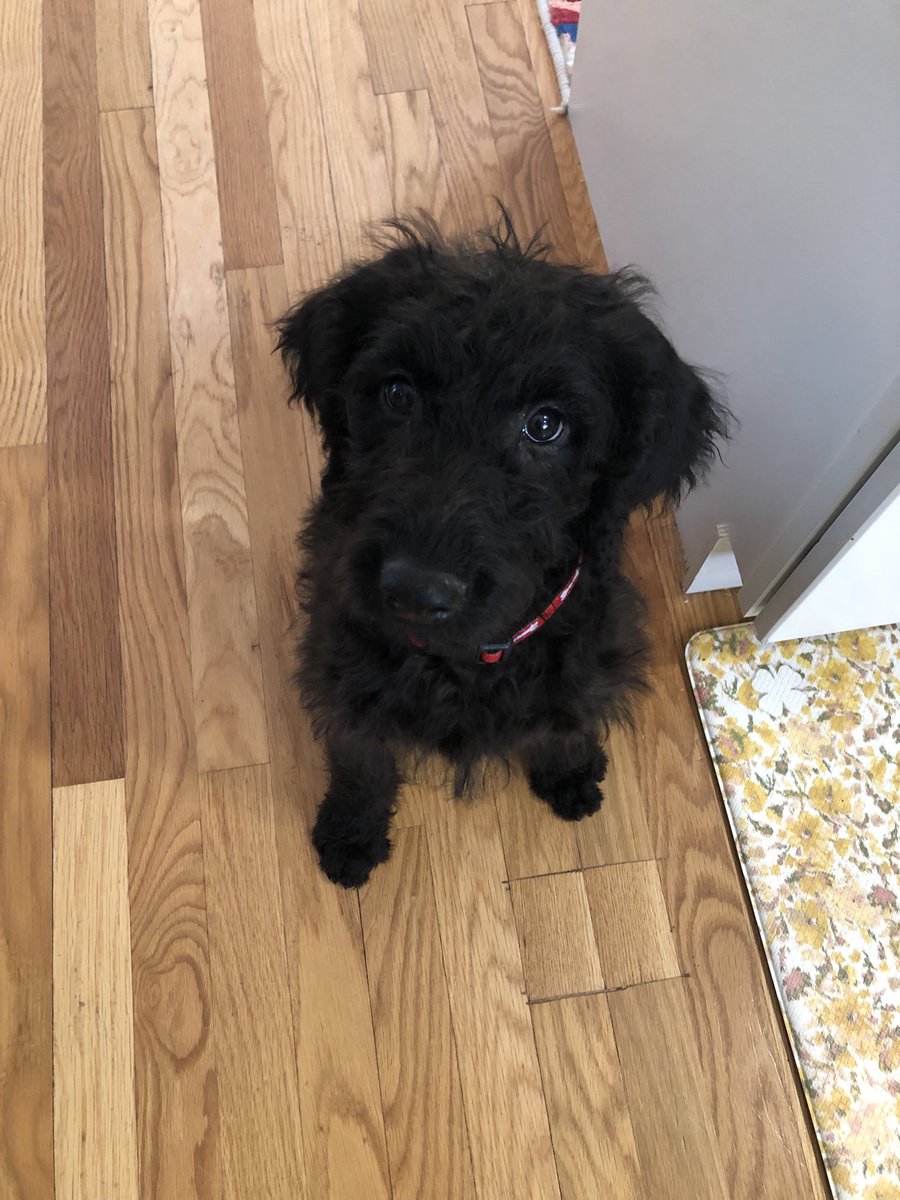 Mark Haddorff tweet media