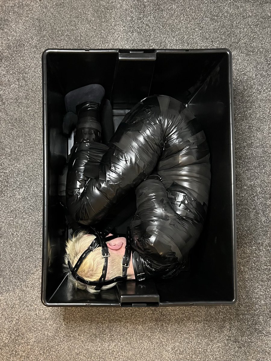 Bound Jake tweet media