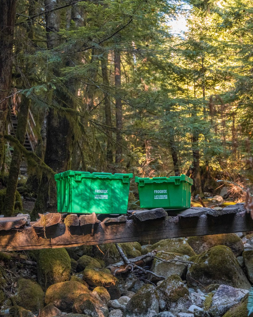 Save the rainforest & move sustainably with #Frogbox. Reusable boxes in 2 sizes for easy packing & moving. #sustainablemoving #greenmoving #rainforestpreservation