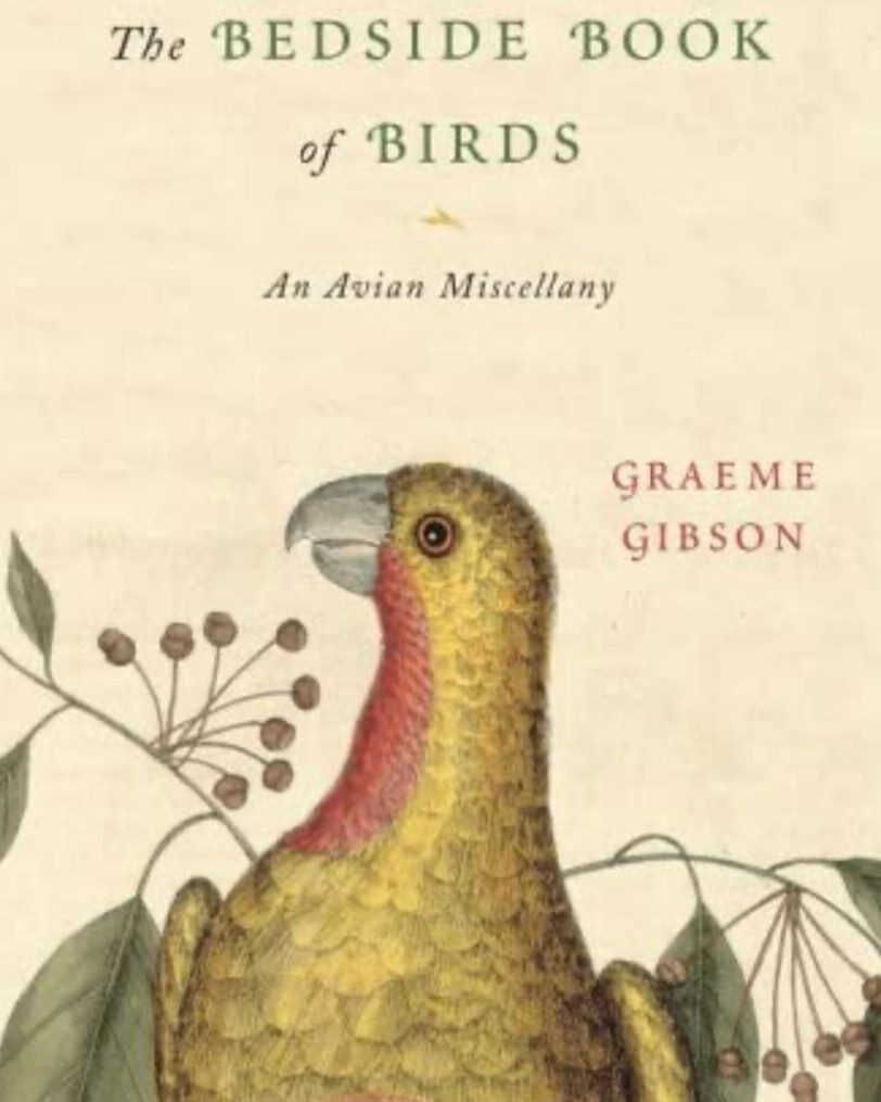 Barstow_English's tweet photo. Mr. Luce snagged this gem at Prospero’s yesterday. Lavishly illustrated and chock full of poems and vignettes, The Bedside Book of Birds will sit nicely alongside Ovid’s Metamorphoses. “The Macedonian women laughed and scorned my threats, but as they tri… https://t.co/R1wW7OkzCv https://t.co/dbTHBg3TNL