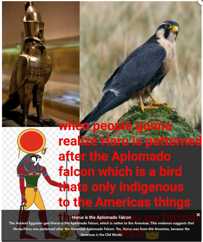 SeekingAnon's tweet photo. . https://t.co/5X5sW9qEB6