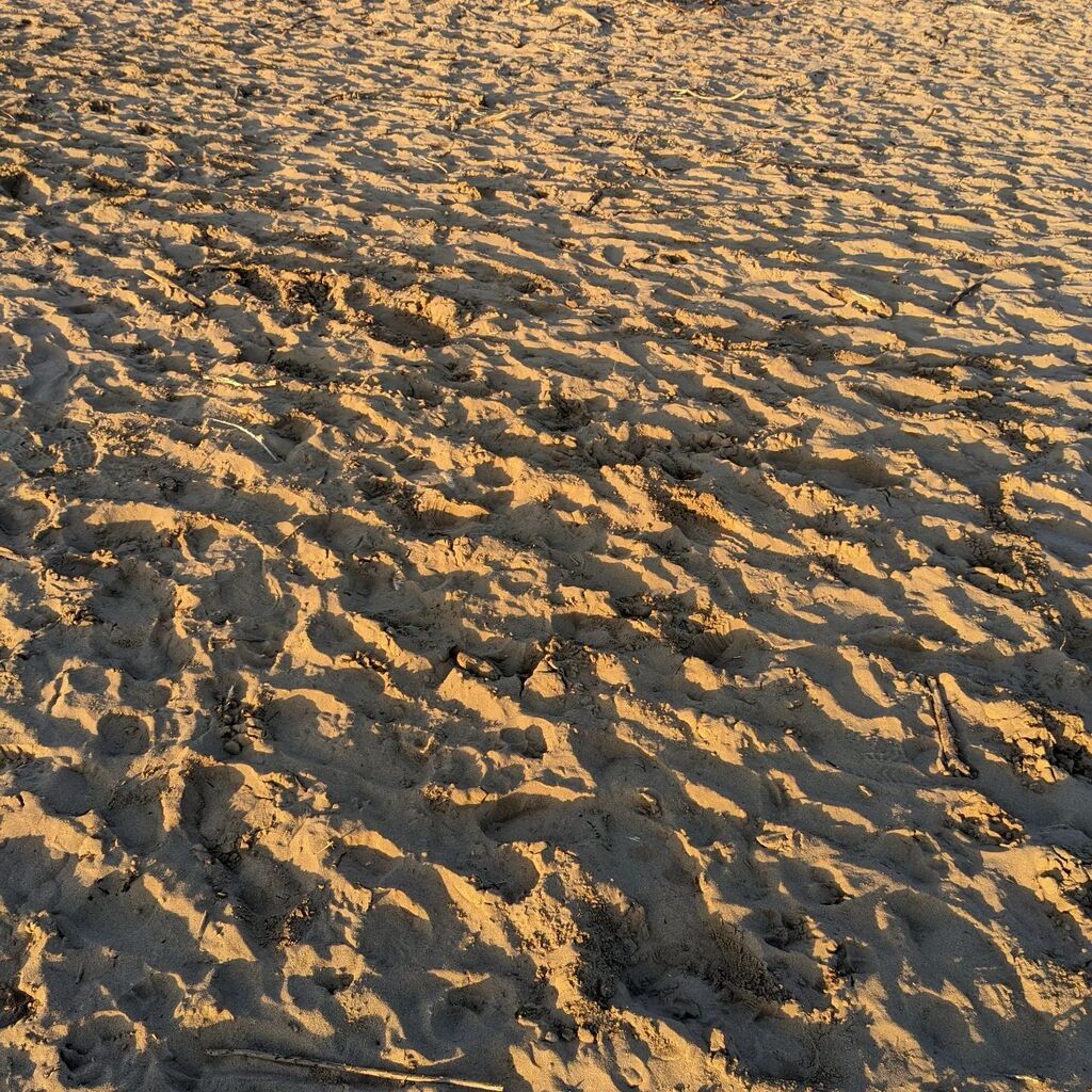 Texture instagr.am/p/CoS81_WNtWv/