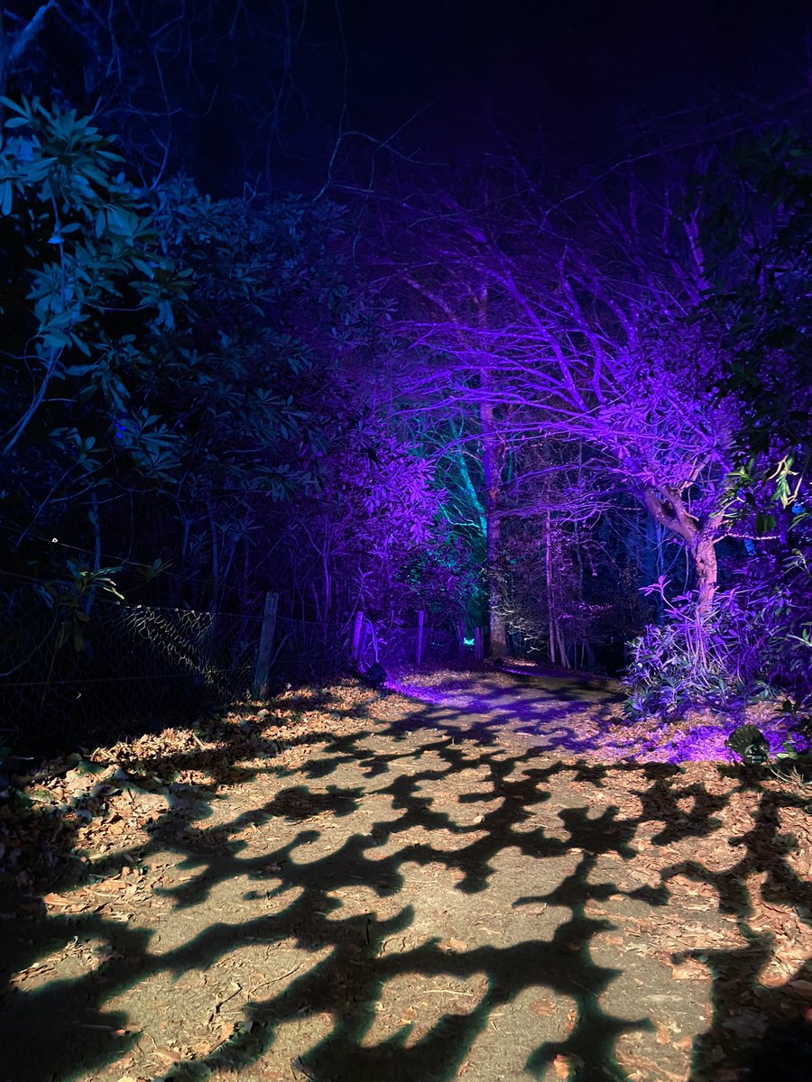 GeorgiaTurner's tweet photo. Highly recommend #illuminate at #thebluepool https://t.co/TEpTUa63NQ