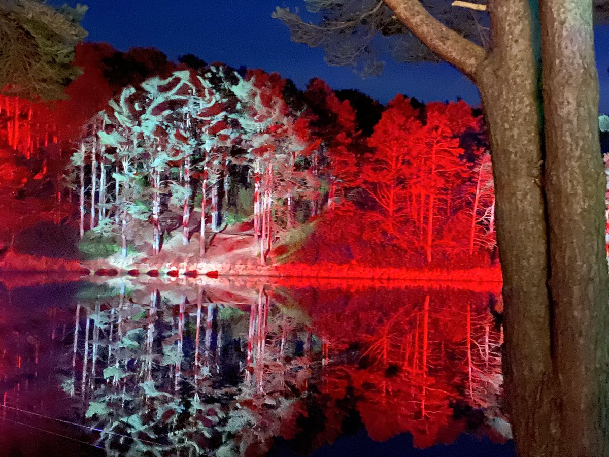 GeorgiaTurner's tweet photo. Highly recommend #illuminate at #thebluepool https://t.co/TEpTUa63NQ