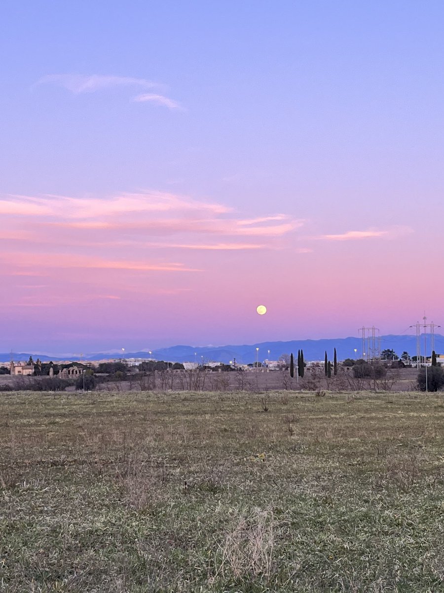 Nicoletta Luppi tweet media