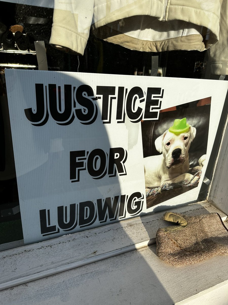 maxwell_partain's tweet photo. @LudwigAhgren https://t.co/121JnxRSA2