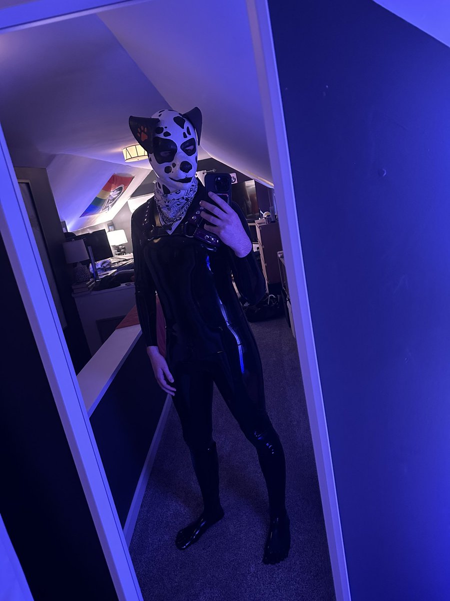 Everett the…Dalmatian? I think it suits me 🐶