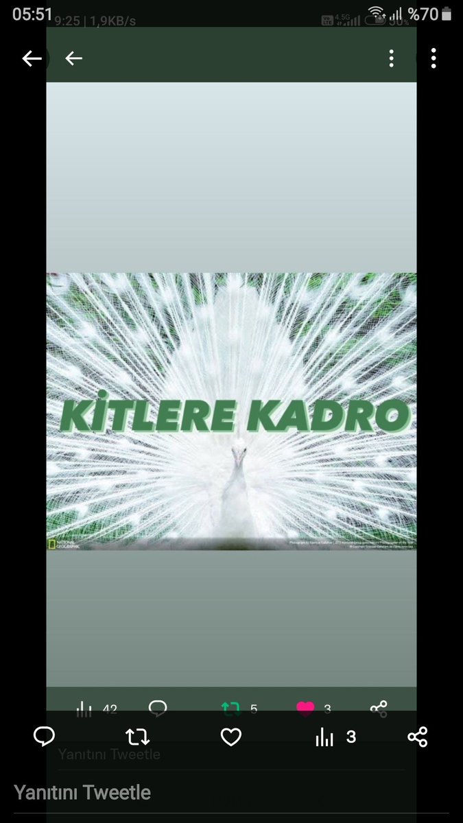 KİT taşeronları Adalet istiyor kit taserona kadro #KabinedeKitler