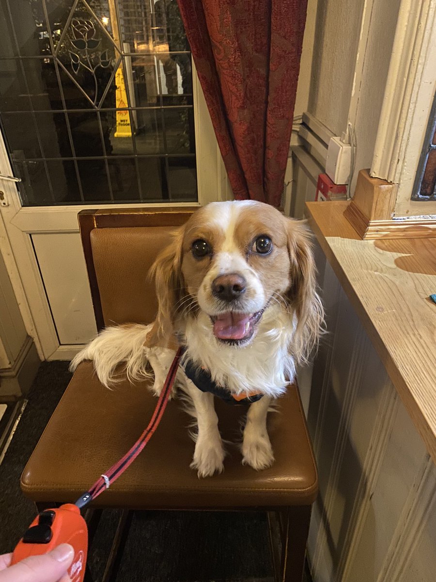 Defo jumper weather atm