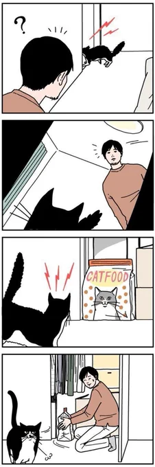 猫だって勘違いする【男の猫道】ねこのきもちWEB MAGAZINE限定話 vol.172|ねこのきもちWEB MAGAZINE https://t.co/J0SjuAwUcX 