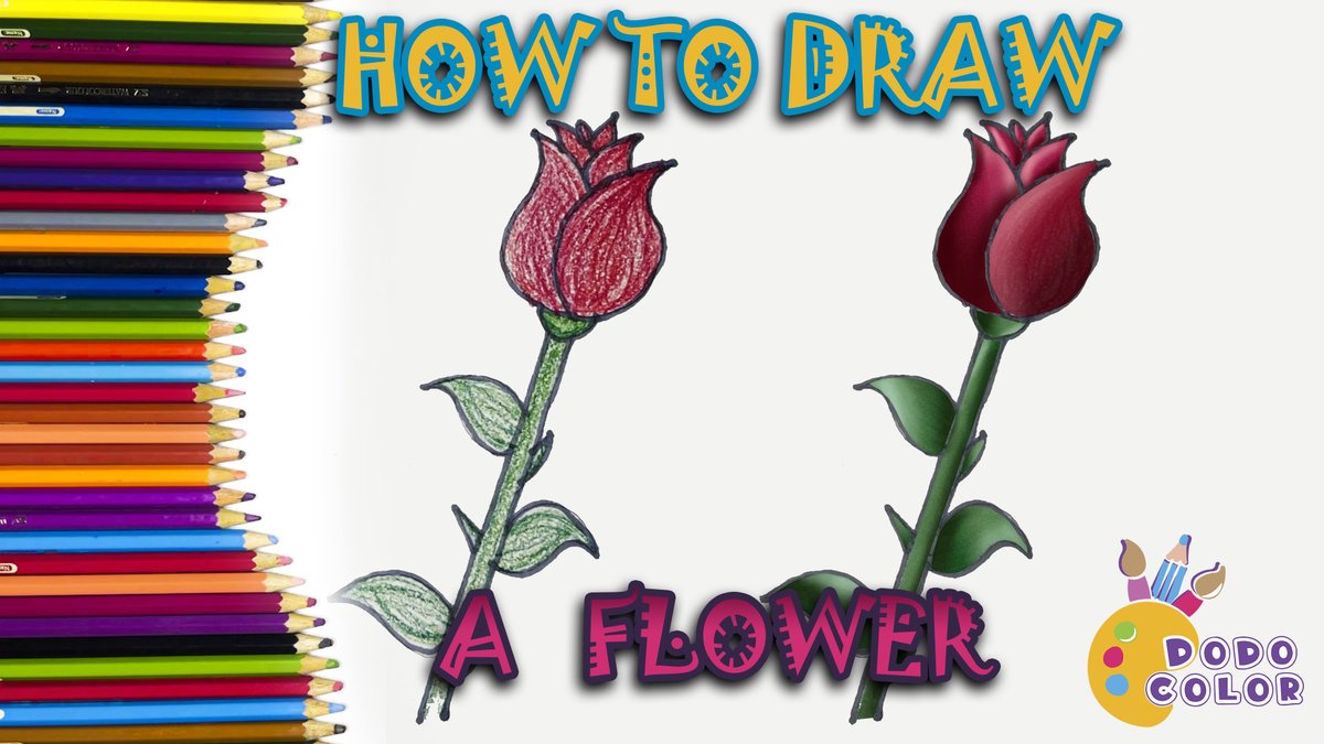 dodocolor's tweet photo. How to draw a flower step by step | Easy color #001 https://t.co/sjl3fuQrzK via @YouTube 
#howtodraw  #howtodrawing  #howtodrawstepbystep  #howtodrawforkids  #drawingtutorial #drawingtutorial #drawingforkids #draw #drawing #drawingforchildren #drawingforchildrens #art #dodocolor https://t.co/P7s7F7XwH5