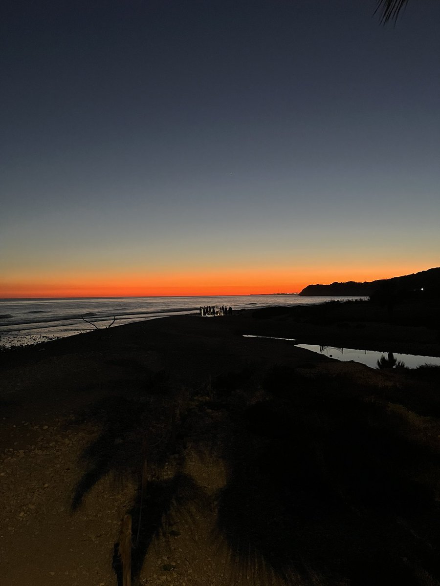 polbarcelo_'s tweet image. wow