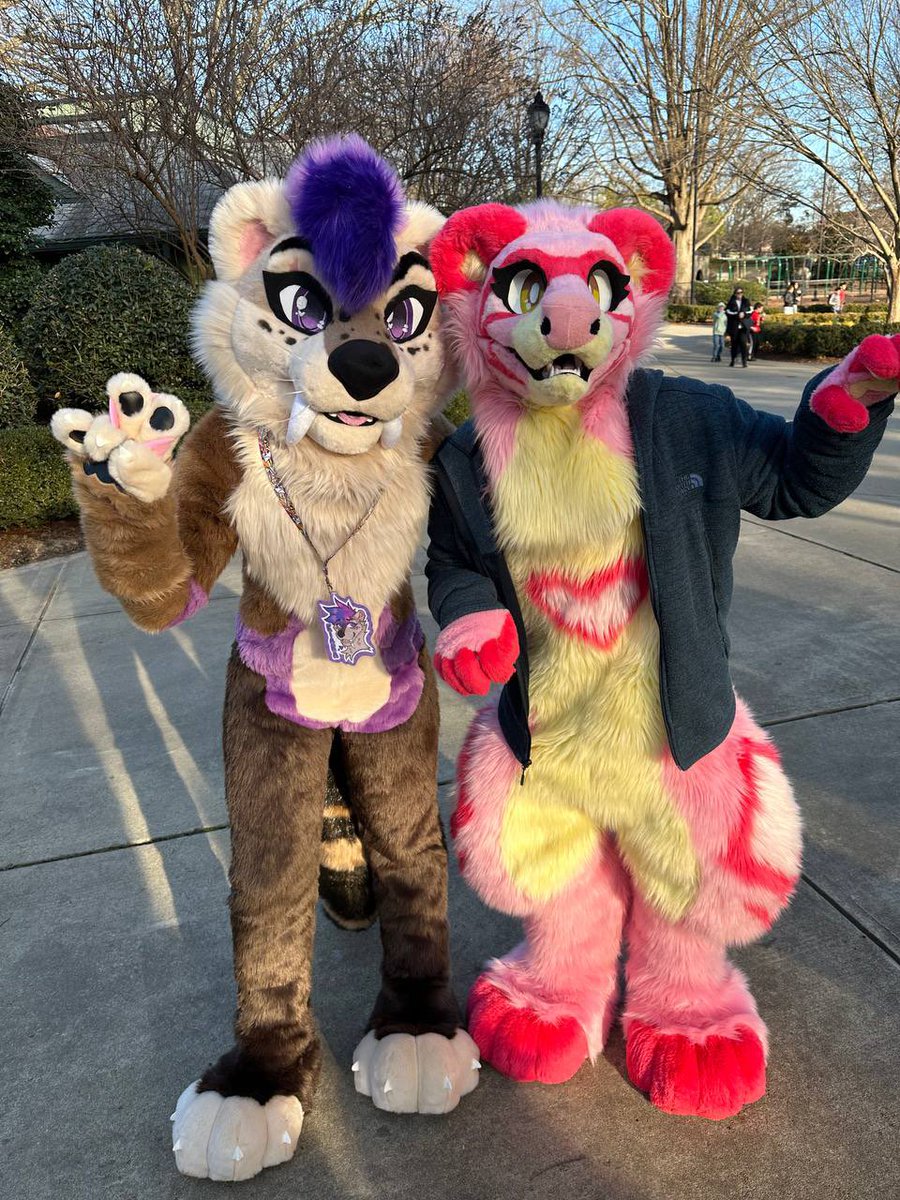 astridddragon's tweet photo. meet kiara!! i decided to refurb her for multiple reasons! im the 3rd owner of this suit and i traded another suit of mine for her. i wont disclose who made the original suit as i dont support them, the people involved with the company and the supporters. #furry #fursuit https://t.co/XqK9VBUOFf