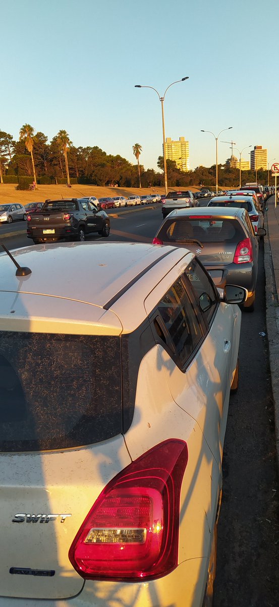 al_bici's tweet image. Es imposible de usar la """bicisenda""" provisoria que pintaron en la vereda de la rambla.
Mientras en la calle se le destina espacio para estacionar autos en la vereda estamos todos amontonados.
La solución es hacer una ciclovía segura por la calle.
@montevideoIM @CosseCarolina