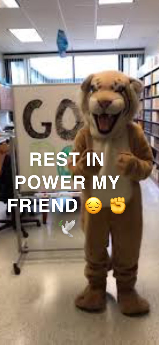 @RIHSuper I’m out of school for 7 MONTHS and funny business like this pops up?? The Ramapo Alumni Panel of Authority does not stand with the decision to switch out the beloved Raider Cat with this modernized, vomit-green pussycat. We will look to take action in court of law.#Back