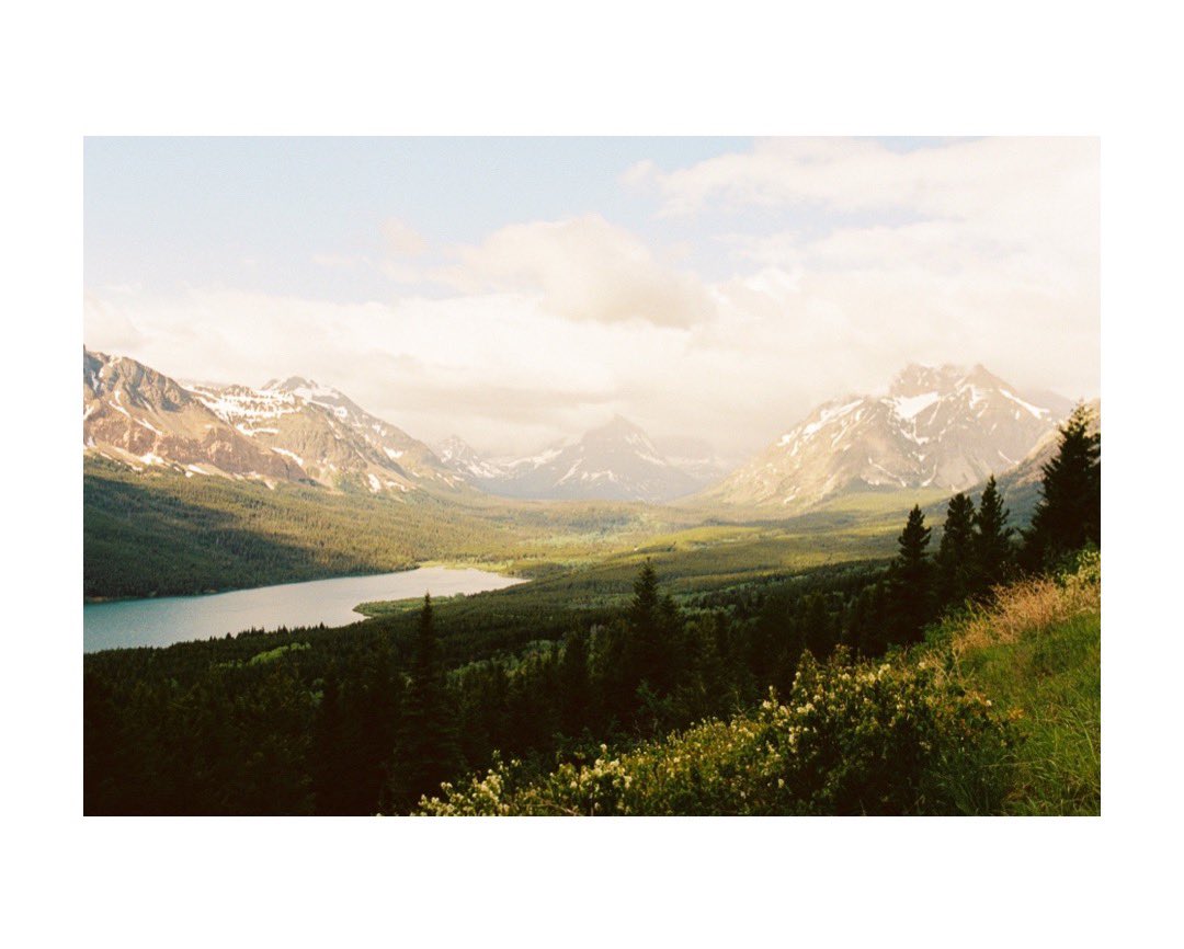 Casual road side view in Glacier 🎞️