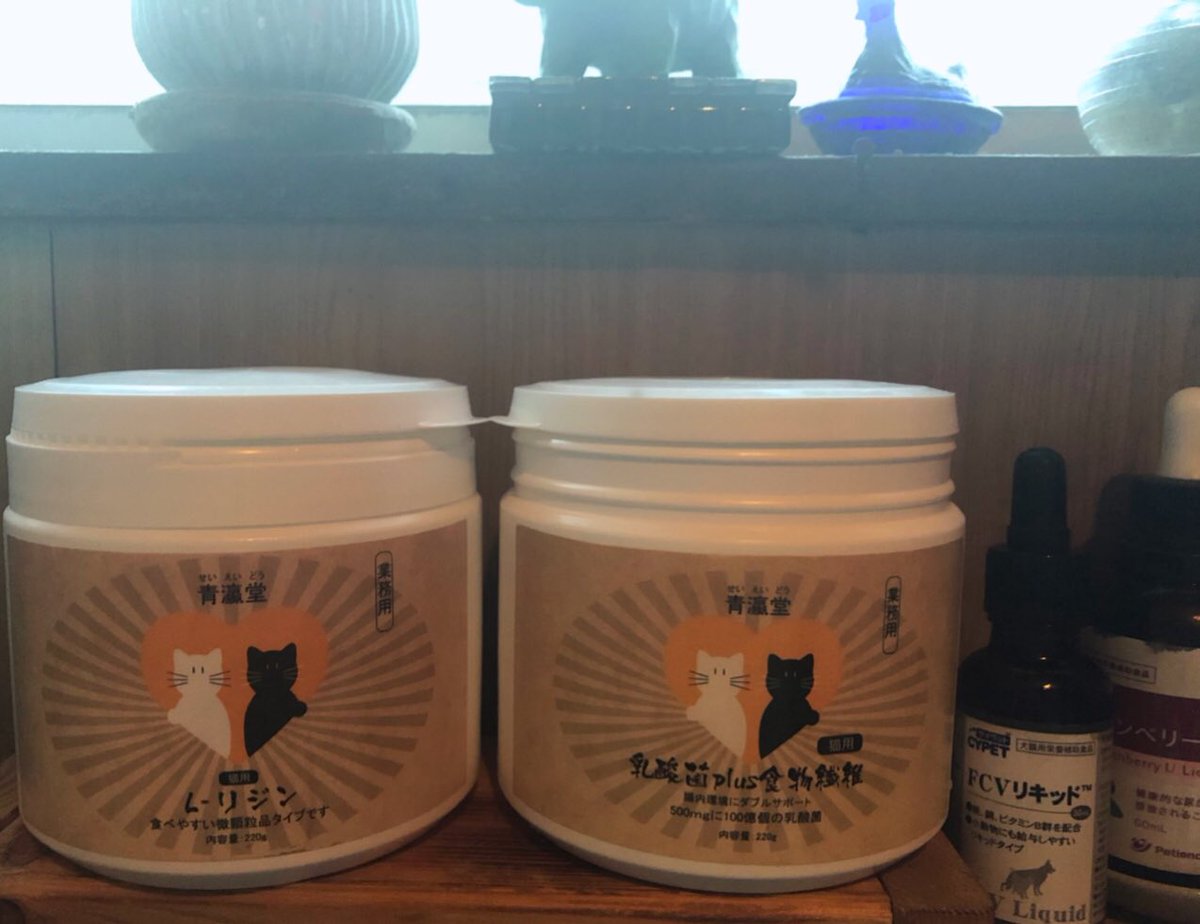 amiamichoocoo's tweet image. 7年間続けていること🐈‍⬛..
この季節になると、特に外猫は過酷です
#猫風邪　#猫ヘルペス　#Lリジン

いままで沢山使ってきた中で(自分は)
よかったLリジンです(220g 5,000円)
1ヶ月ほどしかもちませんが、2〜3匹のこでしたら4〜5ヶ月もつと思います
 (人間のは与えないでください)
　この冬ものりこえて