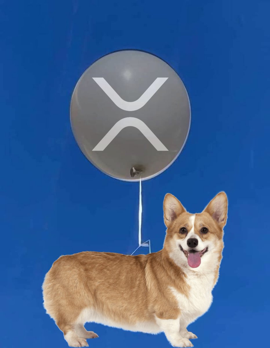 CryptoCorgiX's tweet image. #xrp #XRPArmy #rebuildbags