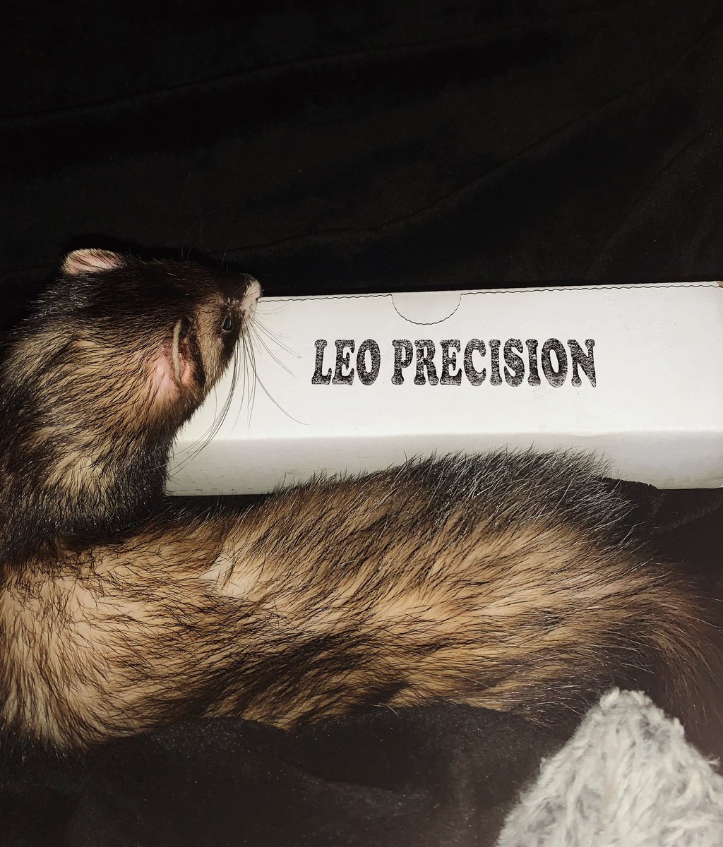 zoopyloops's tweet photo. I wonder whatβs in this π€β¦ | @LeoPrecision | #LeoPrecision #2A3D #GirlsPrintPews2 #fosscad #guncad #AWCY | https://t.co/LutWpirpUQ